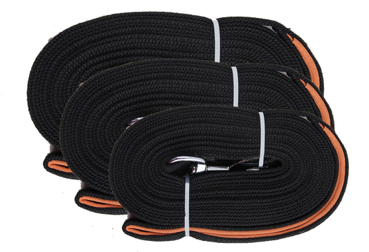 Pawise Long training leash 5 m