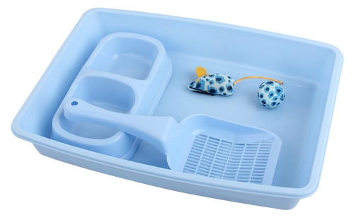 Pawise – Kit complet pour accueillir votre chaton - Bleu