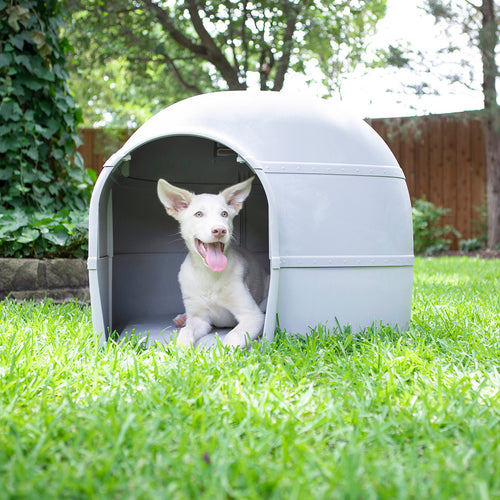 Niche petmate pour Chien Husky – Abri Extérieur Résistant jusqu’à 40 kg
