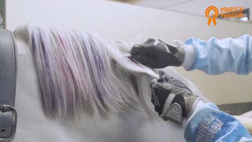 Paardenpraat TV – Craie de couleur arc-en-ciel (crinière & queue)