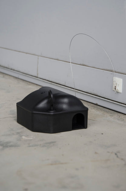 Bait Box Paste Anchor 25 cm
