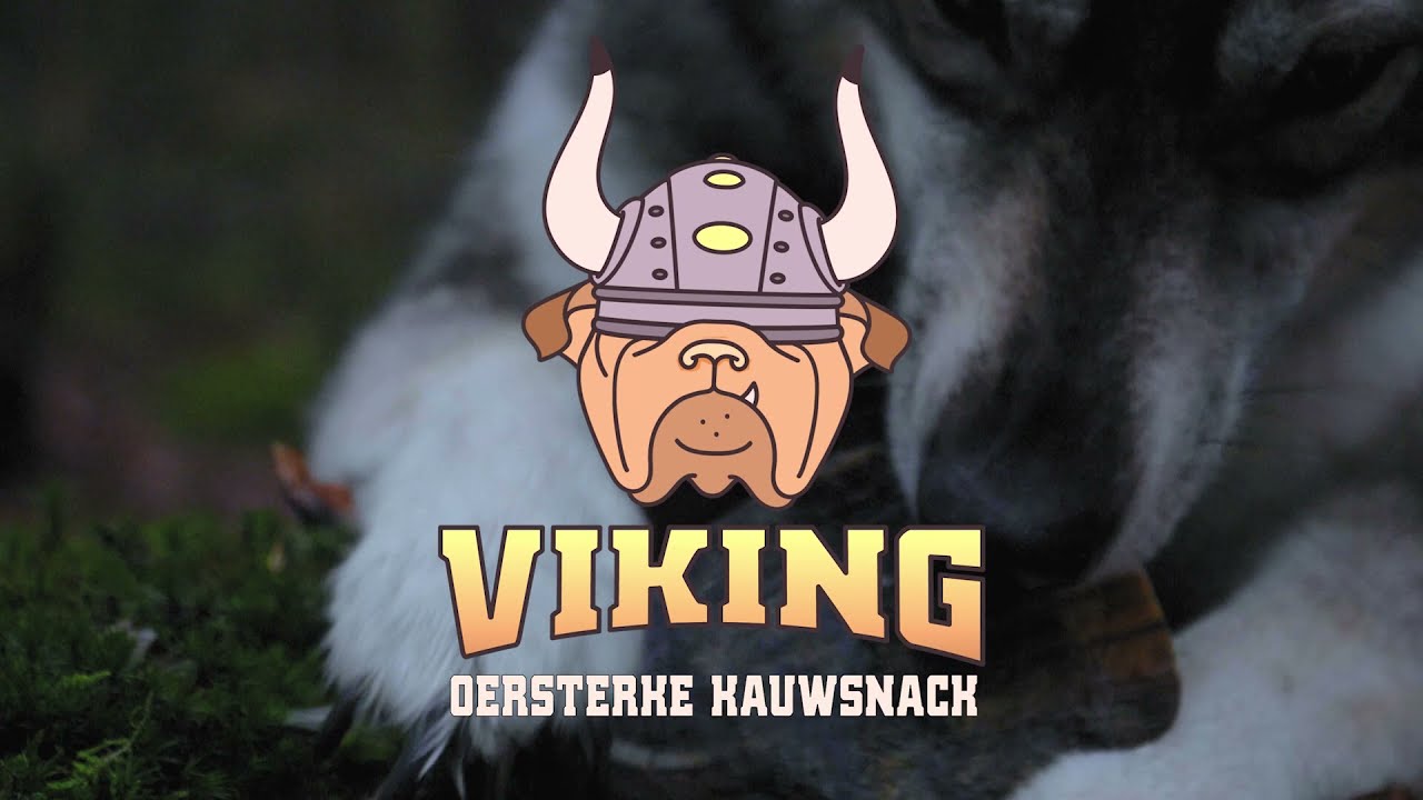 Viking Horn Whole S