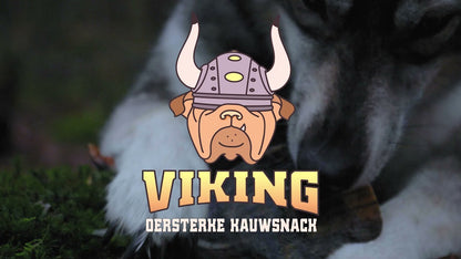 Viking Horn Twist S