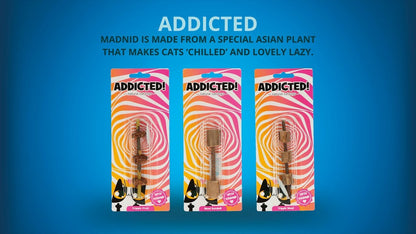 Addicted! Ball