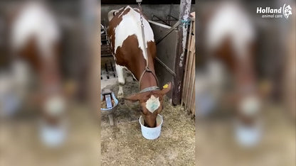 Excellent Fresh Cow Drink Prof