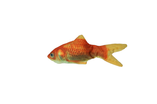 Robocat Fish Goldfish