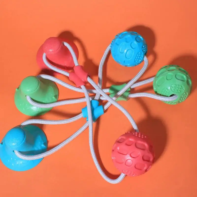 S2559addeedd640d29d5481757db62647Y