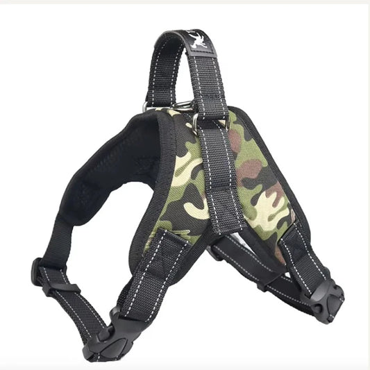 S2f015a4a95104c1cab42ecb2497ecb87Z