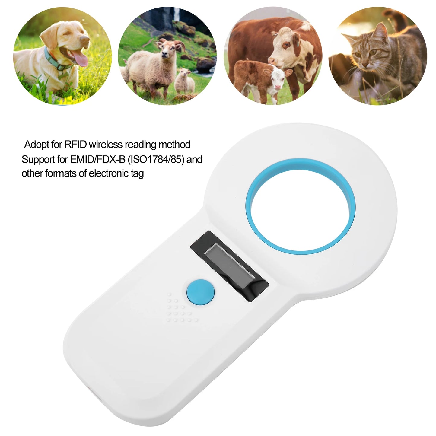 S2fee28d725244dc7b788e593ee6d32cfy