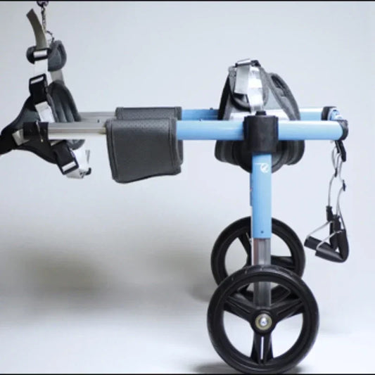 S422865095e05473da860125d81c4de119