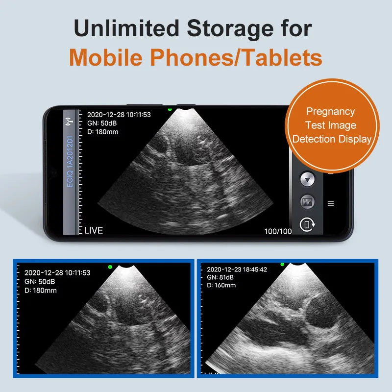 S433f333a767f49068df05c30f828521e9