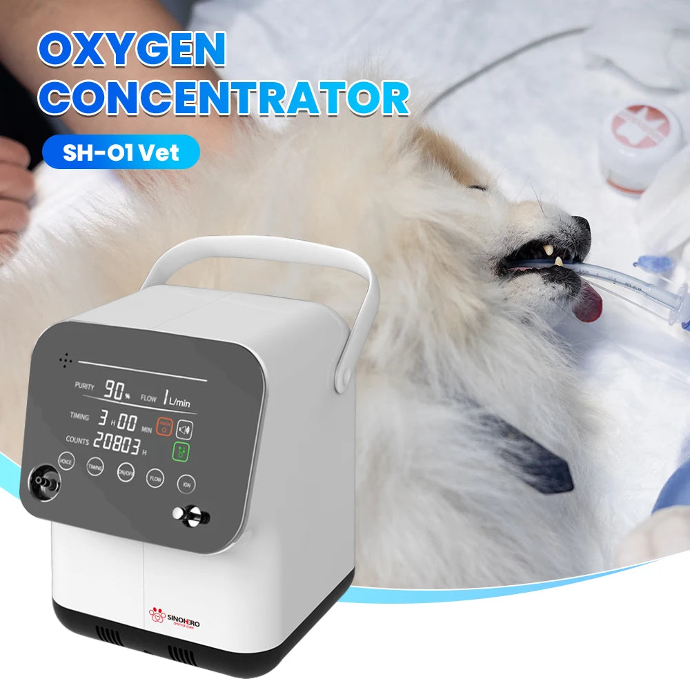 S60ec5a30b4744b65a07c85d125a079a1X