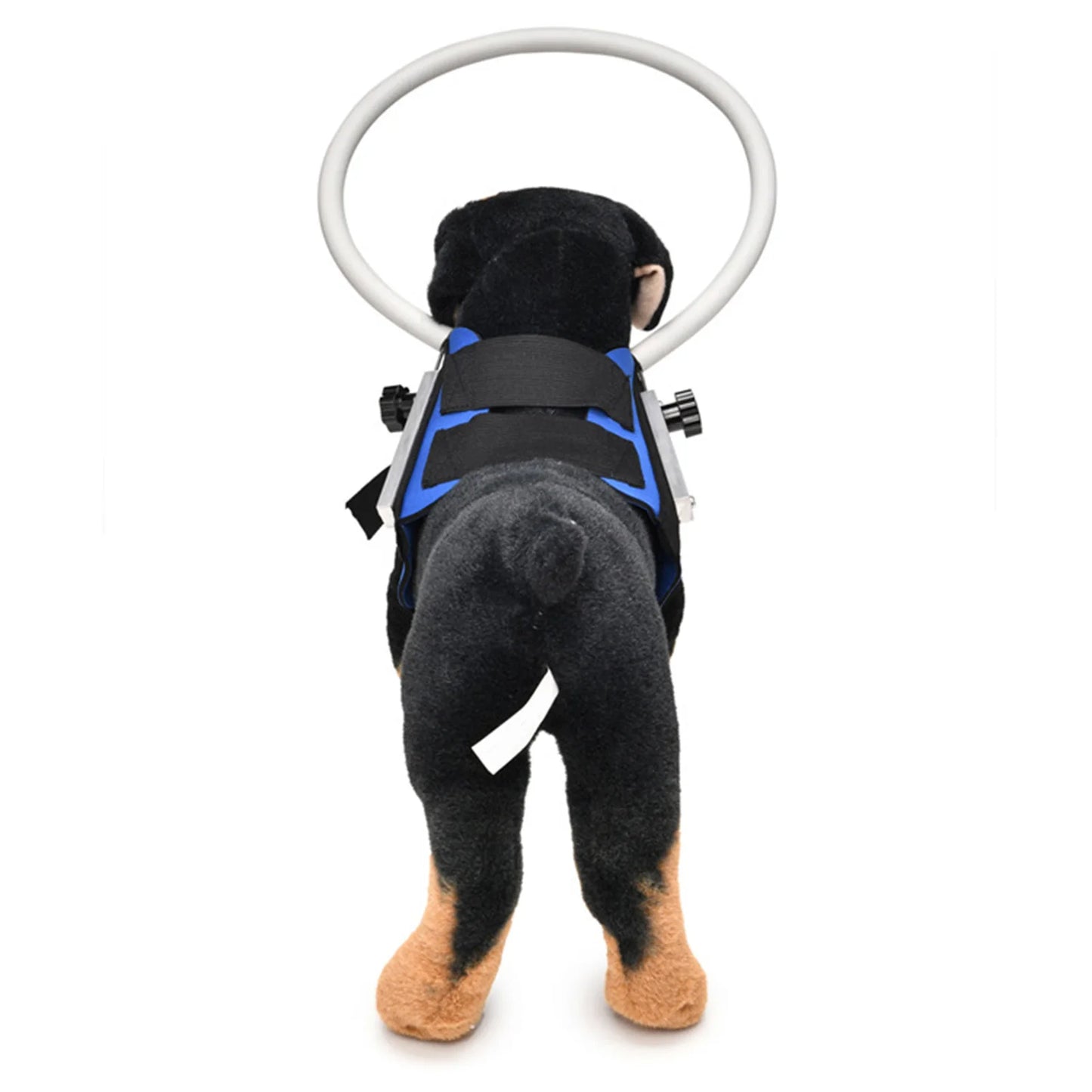 S820e0cb3513941b38eb875ad03f10d6f9