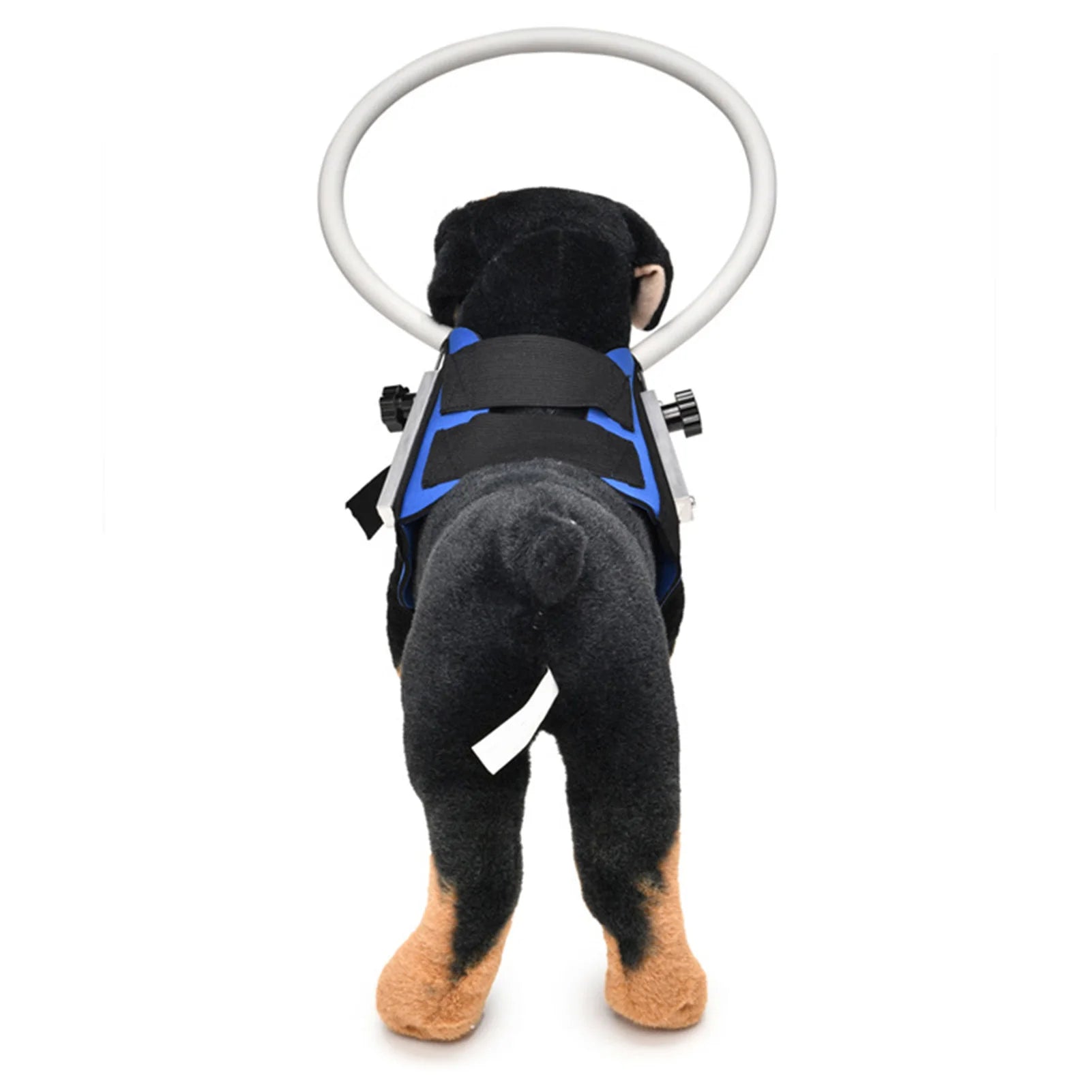 S820e0cb3513941b38eb875ad03f10d6f9