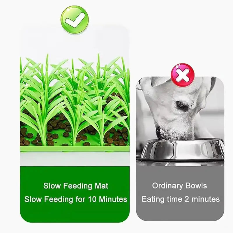 S8f3a12dd539a44709d2408e1180635deT