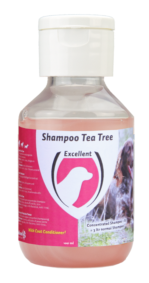 Shampooing concentré à l’arbre à thé – Peaux sèches et sensibles