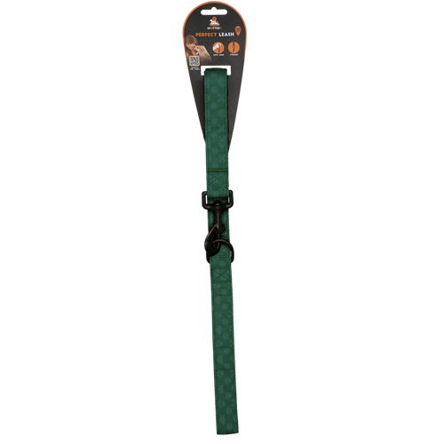 Laisse pour Chien Professionnelle – Légère, Robuste et Confortable - Vert - 120 cm