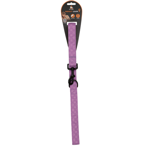 Laisse pour Chien Professionnelle – Légère, Robuste et Confortable - Violet - 120 cm