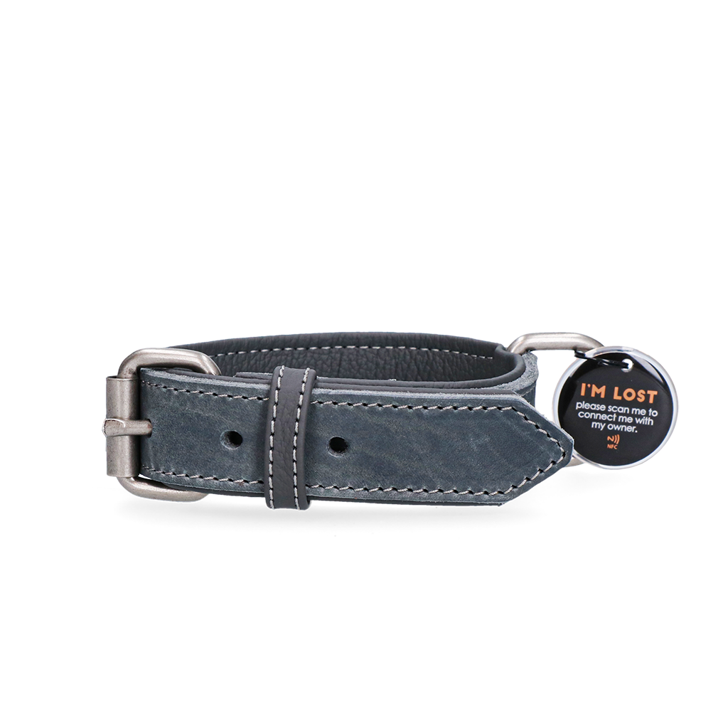 Spotted! Pro Leather Collar c