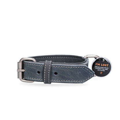 Spotted! Pro Leather Collar c