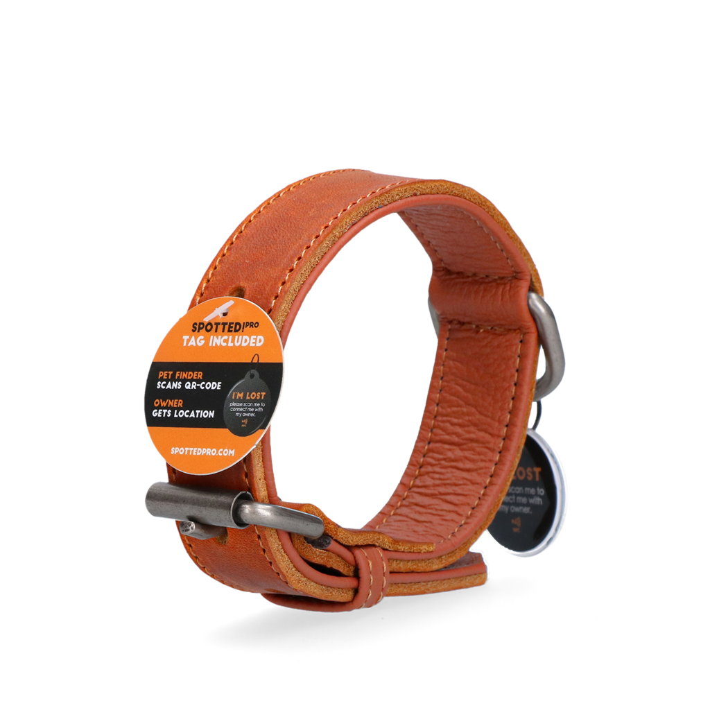 Spotted! Pro Leather Collar Cognac 3 x 65 cm