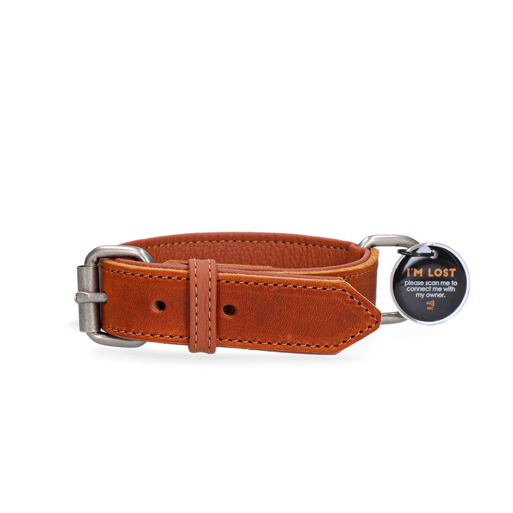 Spotted! Pro Leather Collar Cognac 3 x 65 cm