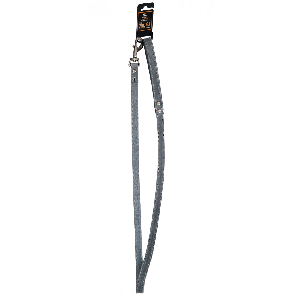 Spotted! Pro Leather Dog Leash Grey