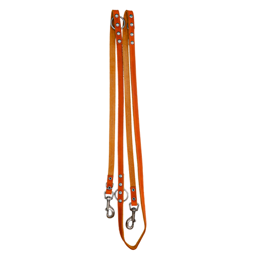 Spotted! – Laisse d’Éducation en Cuir Premium 2 x 250 cm