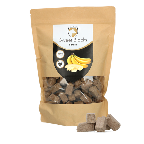 Excellent Horse – Friandises Sweet Blocks