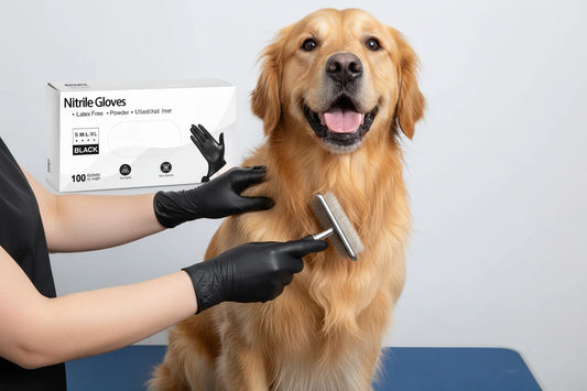 Sbe844848a5d24027ae32b2f07867b1a5L