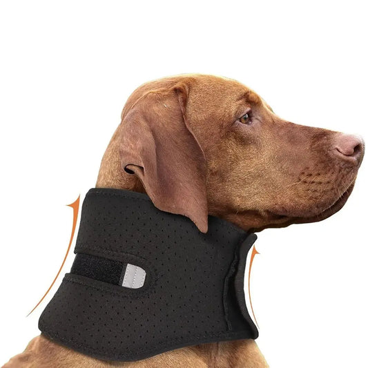 Sbed2dc68aae640c990e741a608082bb0Q