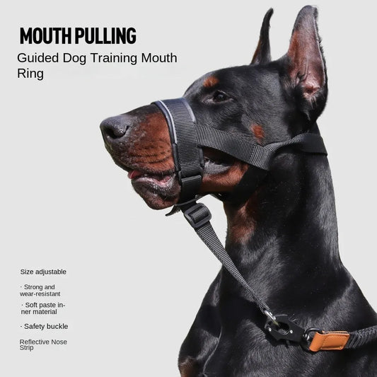 Sc0c9b201c2734388bec3922985c570fdY