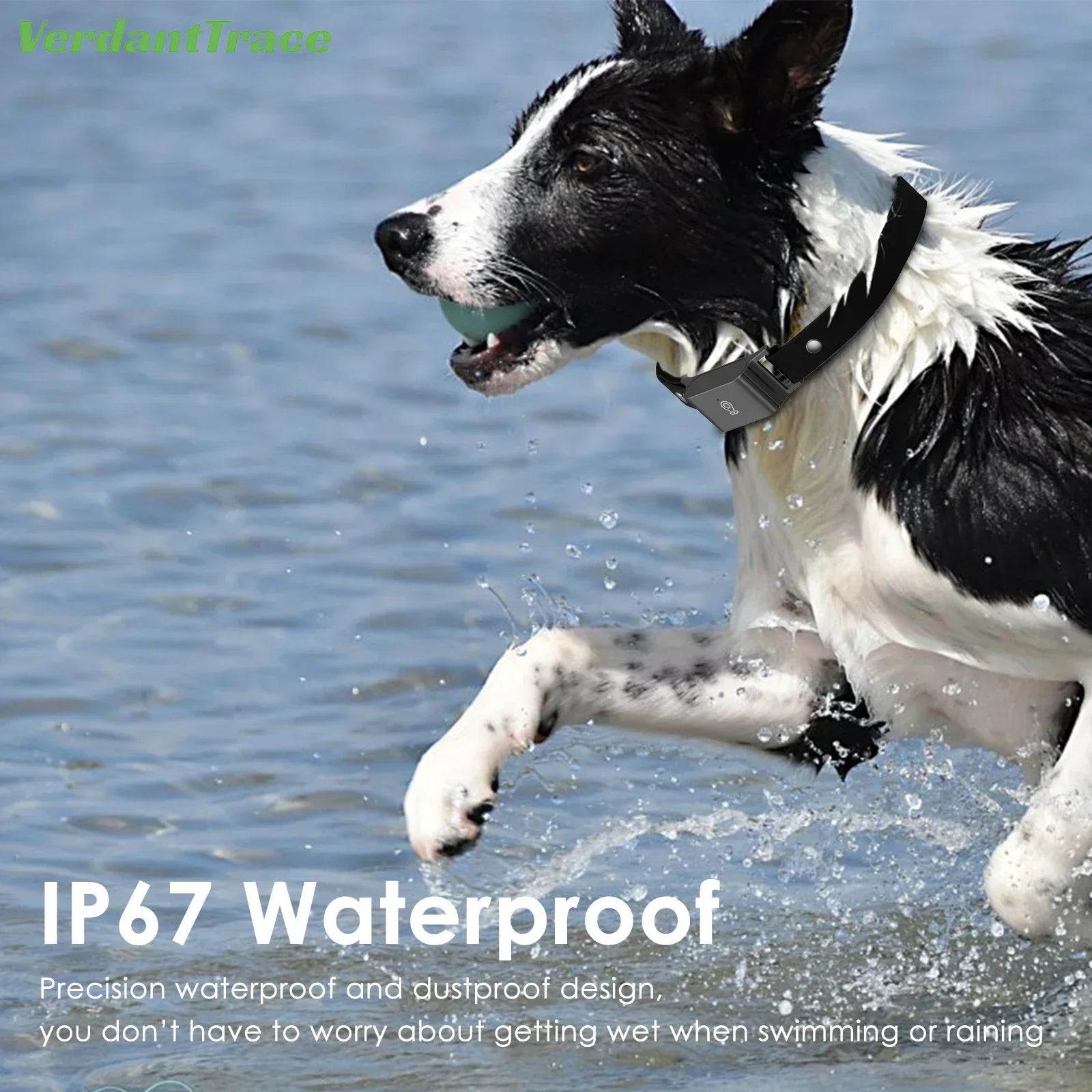 Sc8bbe9b5ed68426e90da5ae4bdee8370q