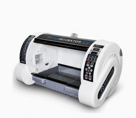 Scc8cfe6e6ad04e9d88d5d51ed4cf1537W