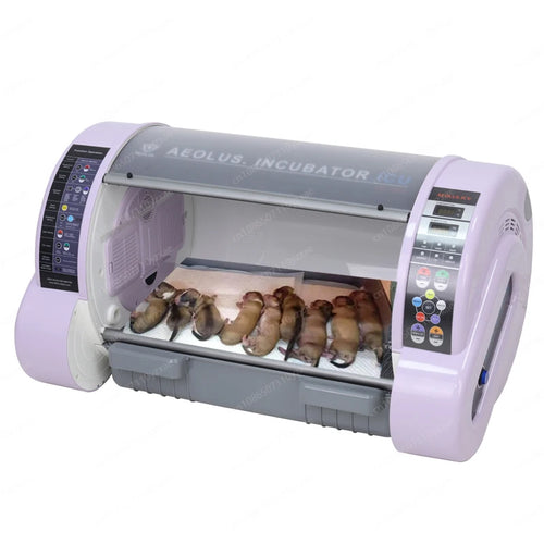 Couveuse / ICU vétérinaire pour chiots