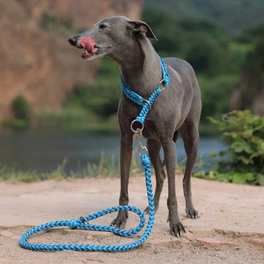 Sd769766171dc44e384fecf54321fe67dQ