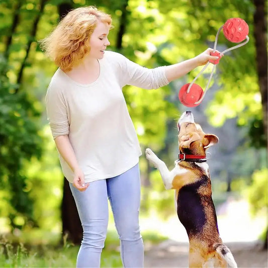 Sdfadf960d73244818abd5afd3af919555