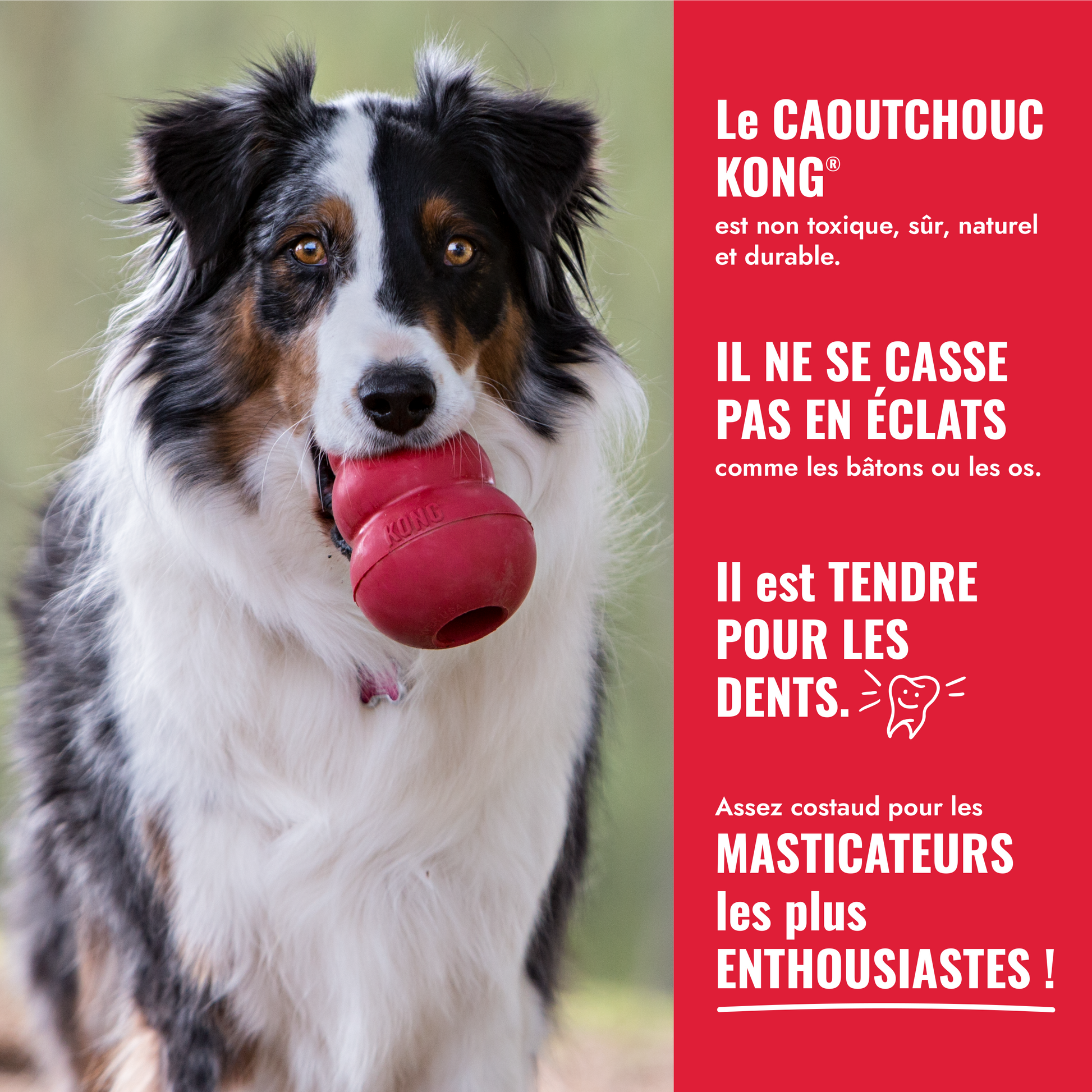 KONG Classic avec Corde - Rouge - Large Petdiscount