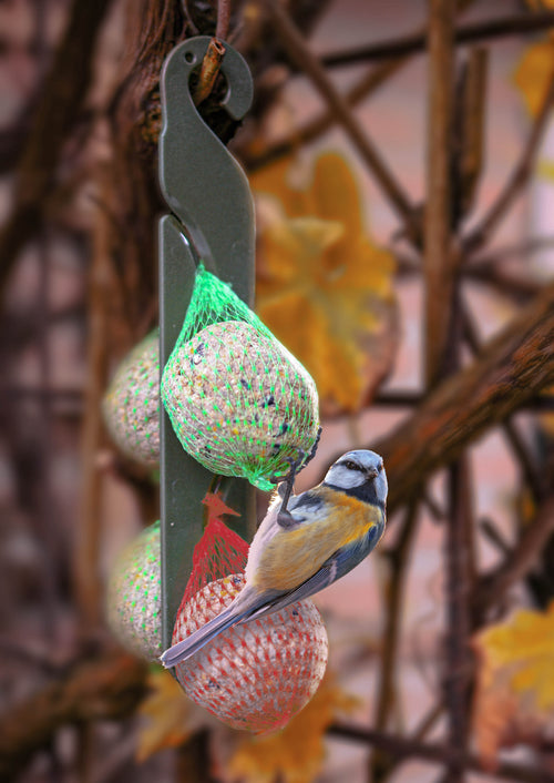Suspension pour boules de graisse oiseaux – Support robuste à suspendre
