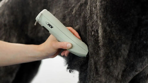 Wahl KMC+ – Tondeuse professionnelle chien, chat et cheval