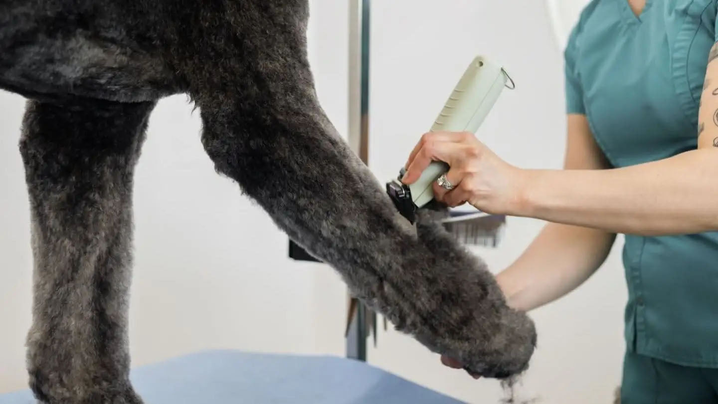 Wahl KMC+ Cord/Cordless Trimmer