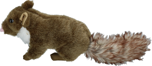 Wild Life Dog – Jouet Naturel Martre pour Chien avec Corde Dentaire