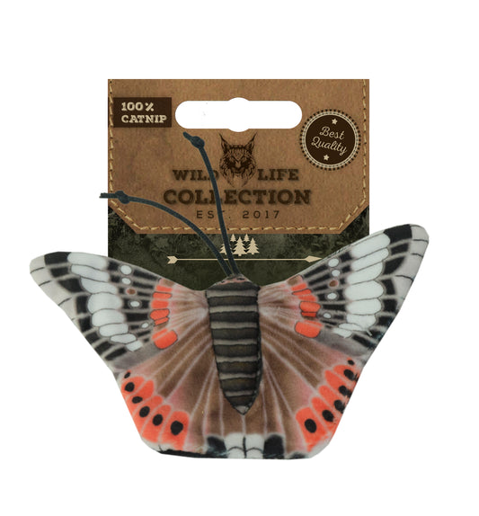 Wild Life Cat Admiral Butterfly