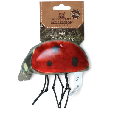 Wild Life Cat Ladybug