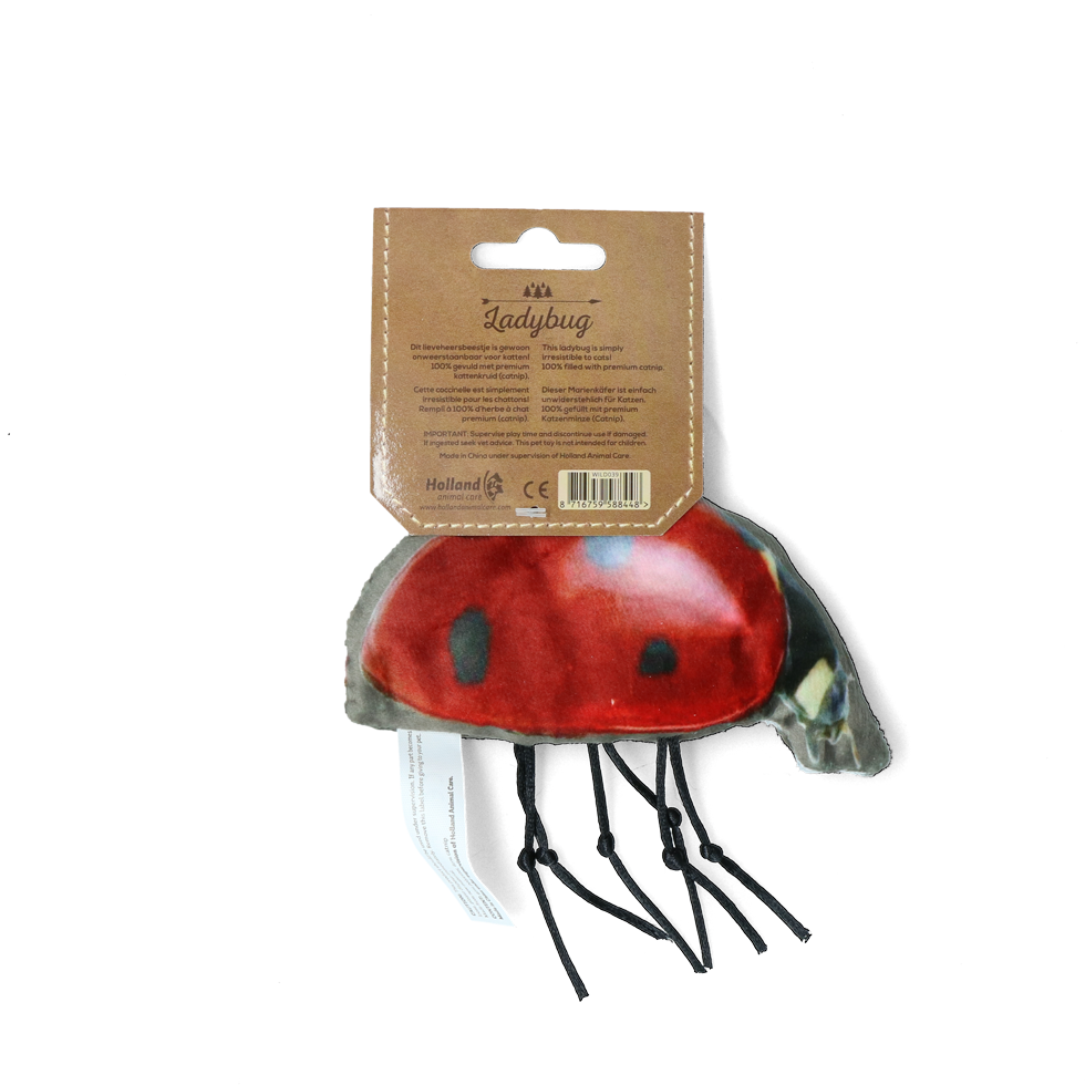 Wild Life Cat Ladybug