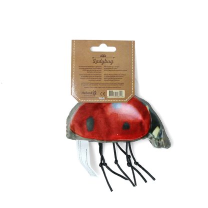 Wild Life Cat Ladybug
