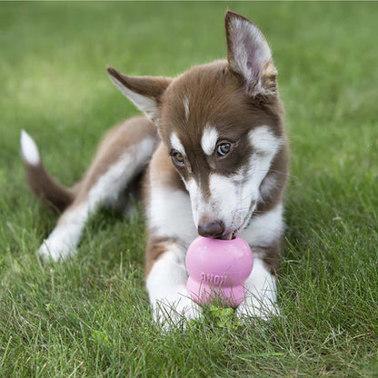 KONG Puppy Easy Treat Petdiscount