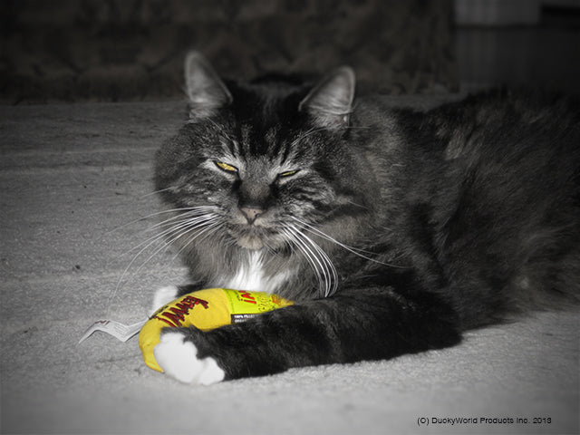 Yeowww! – Banane Chicata à l'herbe à chat pour chat Yeowww!
