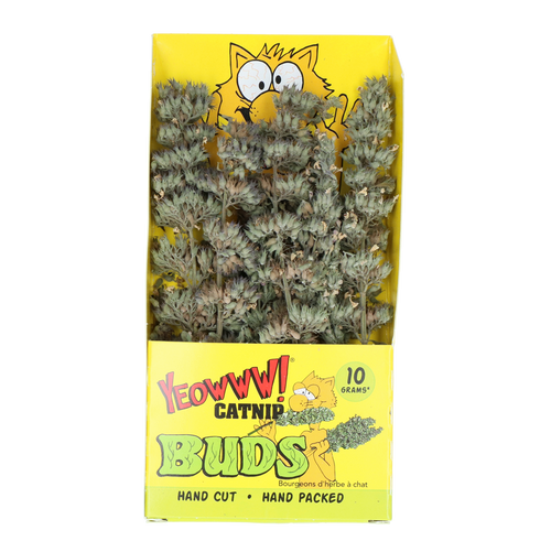 Yeowww! Catnip Herbe à Chat Bio — La plus puissante au monde
