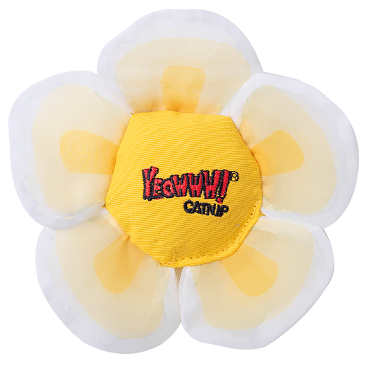 Yeowww! Daisy's Flower Tops White
